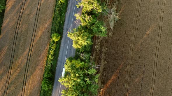 Aerial Drone View Flight Over Asphalt Road with Green Trees