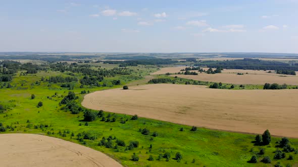 5 Agricultural Fields