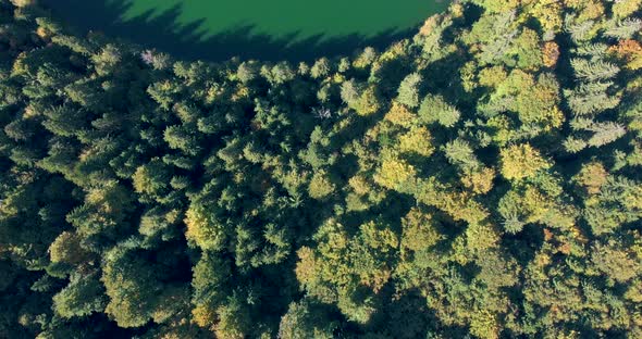 Lake Sfanta Ana - Saint Anne Crater Lake With Dense Forest