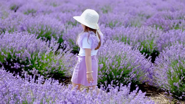 a Girl Walking in a Lavender Field