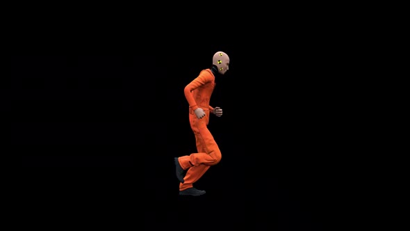 Crash Test Dummy alt