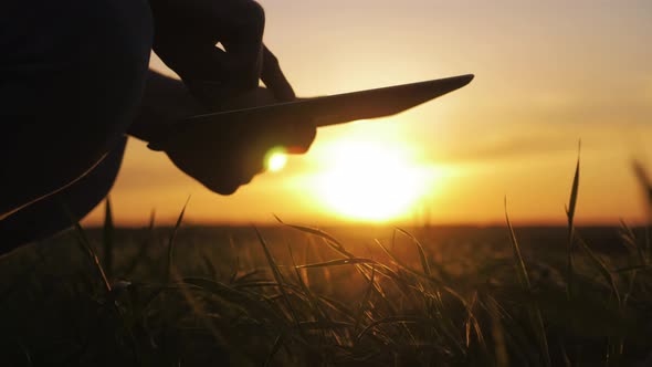 Smart Agriculture Technology Farmer Holding Tablet with Smart Technology