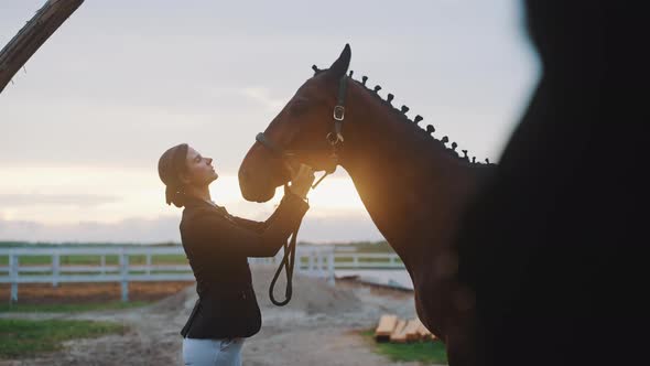 Horse Owner Fixing Bridle Of Her Seal Brown Horse In The Sandy Arena Sunset Time