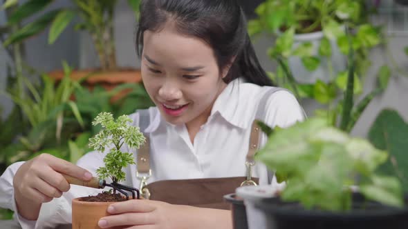 Close up Asian plant seller decorating a small plants in flowerpot by hand fork