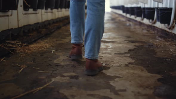 Farmer Shoes Walking Cowshed Facility Closeup