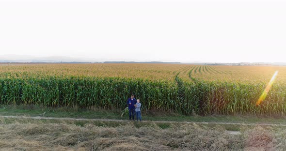 Young Farmers Discussing At Maize Field Agriculture