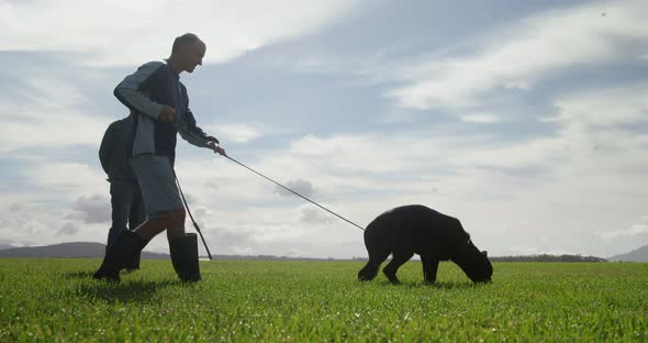 Shepherd dog walking with his owner in the farm 4k