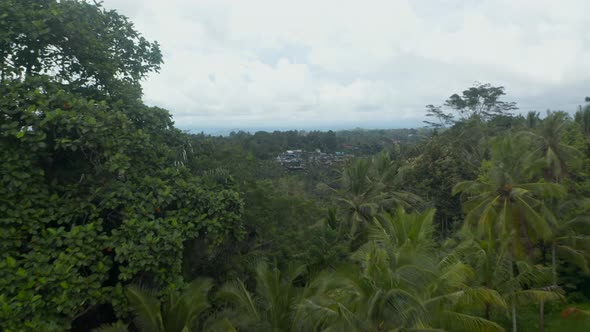 Aerial Reveal of a Small Rural Communities and Irrigated Farm Paddy Fields in the Thick Rainforest