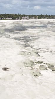 Vertical Video of Low Tide in the Ocean Near the Coast of Zanzibar Tanzania