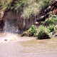 Migrating Wildebeest Leaping Into Mara River - VideoHive Item for Sale