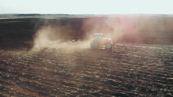 Tractor Plows the Field in Sunset, Sunrise, Raising Dust, and Behind It Fly Birds. Aerial View