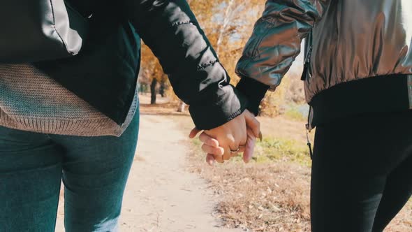 Two Young Women Walk Each Other By Hand in an Autumn Park Slow Motion