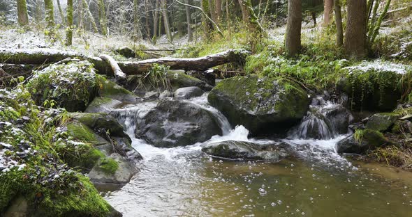 small mountain creek in a woodland