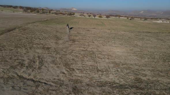 Aerial Galloping Horse