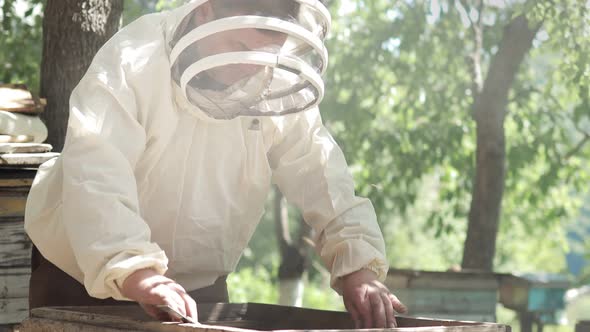 Beekeeper in a protective suit works with honeycombs. A farmer in a bee suit works with honeycombs