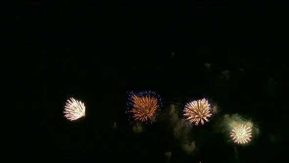 Colorful Firework display at night on sky background