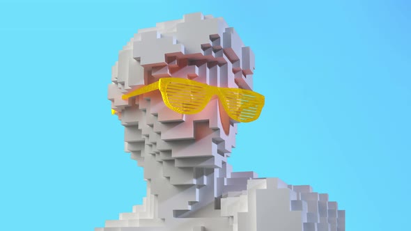 Michelangelo's David statue voxel effect