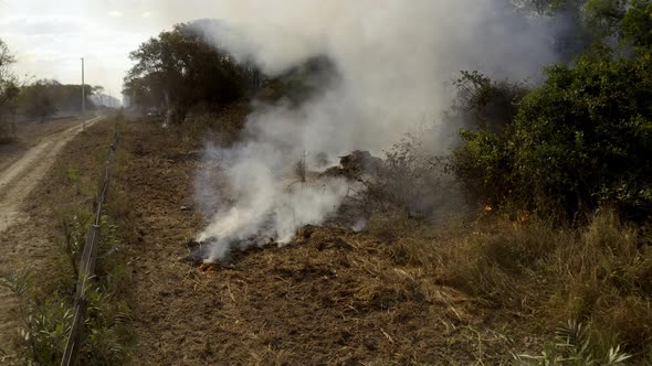 Fires smolder and burn along the farm road as deforestation fires destroy the Brazilian Pantanal