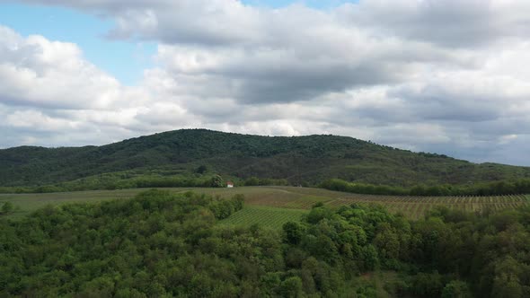 Landscape with Hill