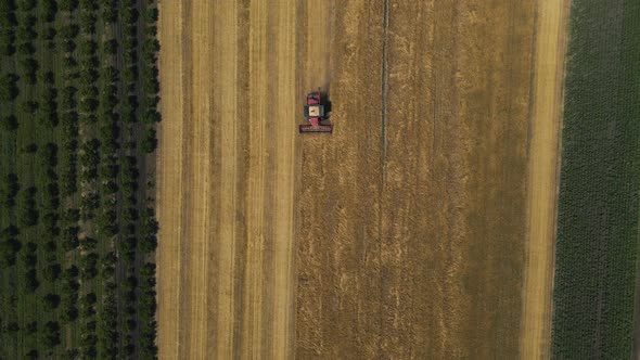 Aerial View Top View of Combine Harvester Working on a Wheat Field in Slow Motion