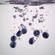 Blueberries falling in the water on white background - VideoHive Item for Sale