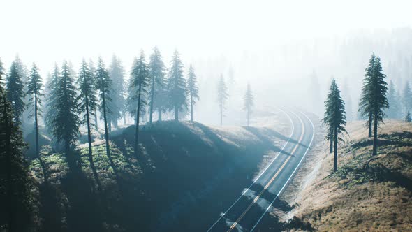 Road Through the Russian Taiga Forest From Aerial View