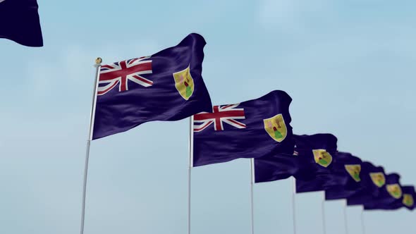 Turks And Caicos Islands Row Of Flags 