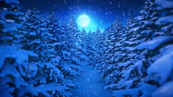 Christmas tree background