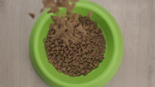 Top down view Pet food pellets poured on Green bowl over wood floor - Slow motion
