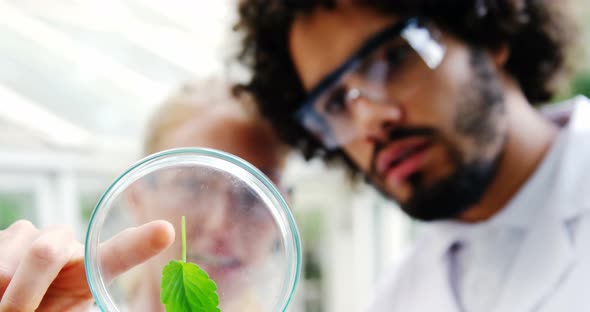 Man and woman interacting while examining leaf