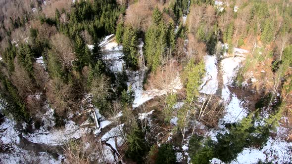 Beautiful Frozen River Within Above a Pine Forest In Winter