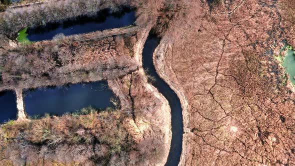 Yellow swamps and blue river, aerial view from drone