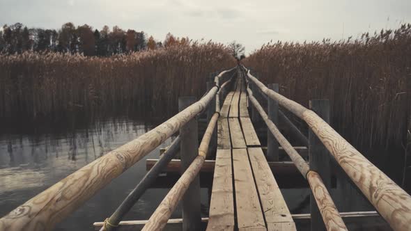 A wooden trail among the reeds on Lake Kaniera