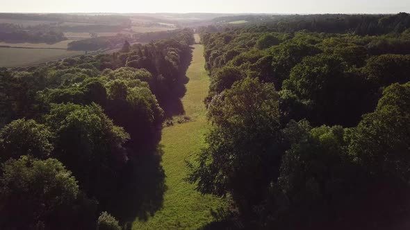 Aerial footage into bright sunrise over gap in woodland. wide angle view of english countryside