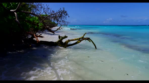 Aerial scenery of perfect seashore beach wildlife by aqua blue sea with white sandy background of a 