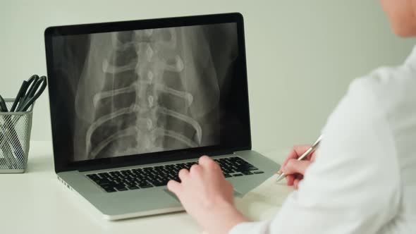 Doctor Veterinarian Examining Bird Skeleton Roentgen on Laptop Monitor
