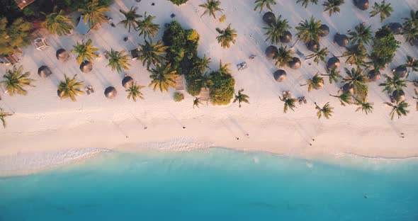 Aerial view of sea waves, umbrellas, green palms on the sandy beach at sunset. Summer 