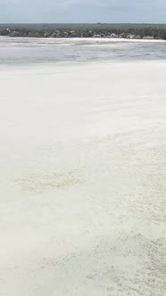 Vertical Video of Low Tide in the Ocean Near the Coast of Zanzibar Tanzania