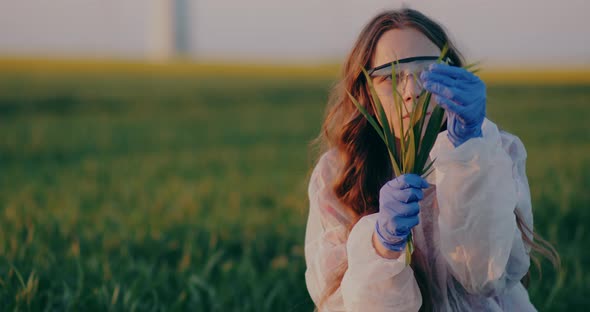 Agronomist Examining Crops in Field Agriculture