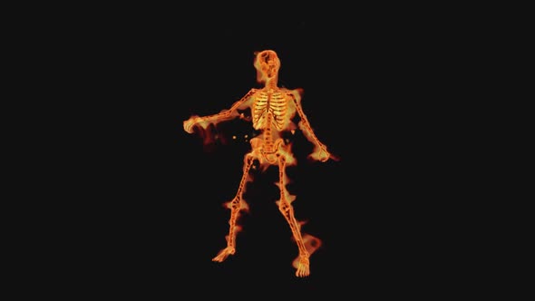 Burning Skeleton   Thriller Show