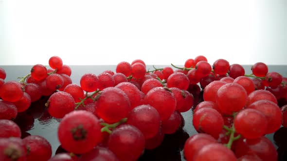 Ripe Organic Red Currants on a Glass Surface