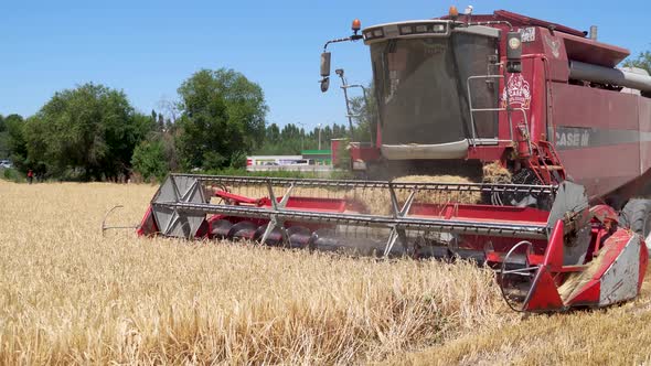 Combine harvester working on a barley field on sunny summer day