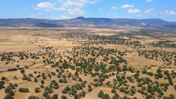 Aerial view of steppe ecoregion