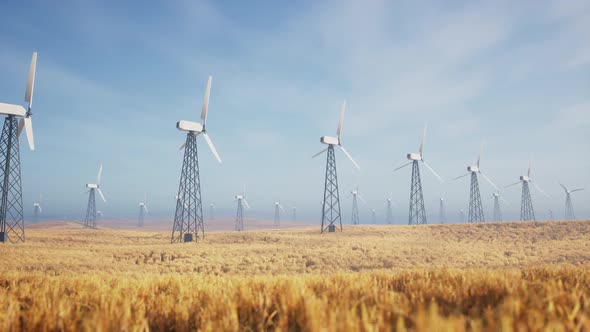 Beautiful 3D Animation Of A Large Number Of Wind Turbines