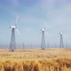 Beautiful 3D Animation Of A Large Number Of Wind Turbines - VideoHive Item for Sale