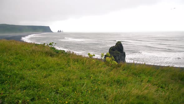 Reinisfjara Black Beach in Summer Season Iceland