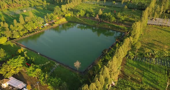 Artificial lake as water supplies for agriculture in the middle of tobbaco plantation and trees. It