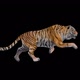 Tyger Running Looped Animation - VideoHive Item for Sale