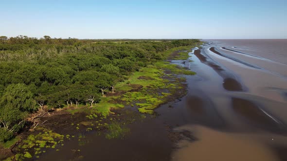 Natural tidal flats and mangrove forest, sediments deposited by tides and Rio de la Plata river at E