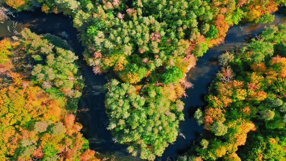 Aerial view of wildlife, Poland. Forest and river in autumn.